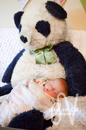 Jane_Newborn-27